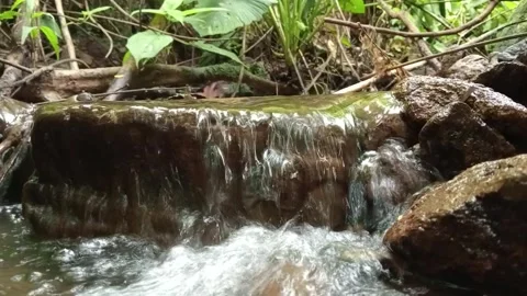 Small Waterfall in Forest Stream – Natural Flow Over Rocks Stock Footage 329781245