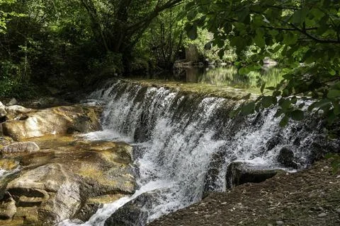 Small Waterfall In Forest Stream Over Rocky Ledge With Sunlit Pools And Lus.. Stock Photos
