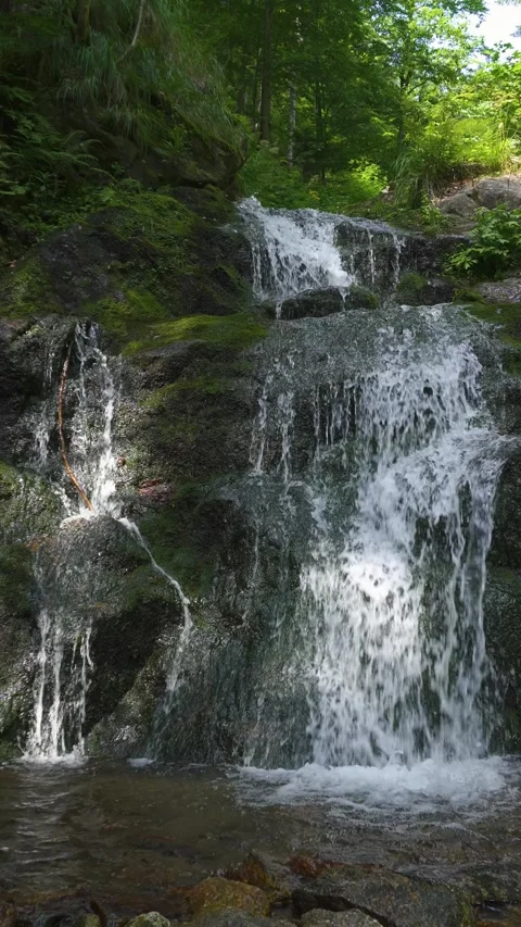 Small Waterfall in Forest Stream, Peaceful Vertical Nature Stock Footage 322802569