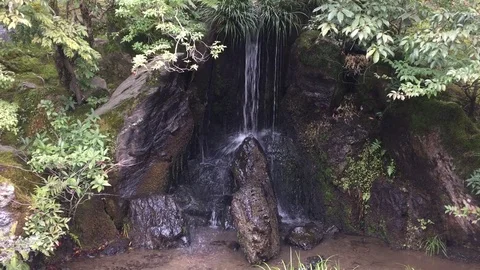 Small waterfall in forest in summer Stock Footage 79297121