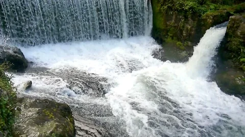 Small waterfall in the forest at summer Stock Footage 130068999