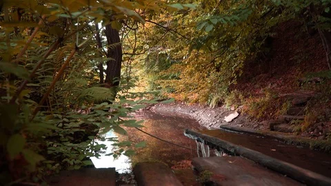 A small waterfall in the forest. Trickle on the background of trees and bushes Stock Footage 92803076