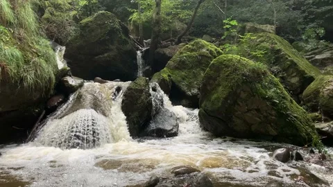 Small Waterfall In The Forest In Val Sarentino, Italy 스톡 동영상 149984296