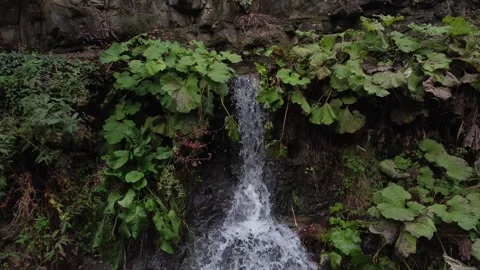 Small waterfall in the forests of Tbilisi Botanical Garden in autumn. Stock Footage 288115812