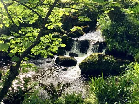 Small Waterfall Framed By Lush Trees &amp; Ferns In Spring Sunshine Foto stock