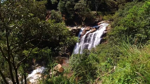 A small waterfall with fresh water, in a thick forest, India. Stock Footage 119314070