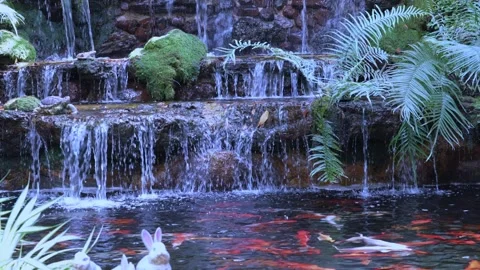 A small waterfall in the garden and koi fish swimming in the pond. Stock Footage 259690812