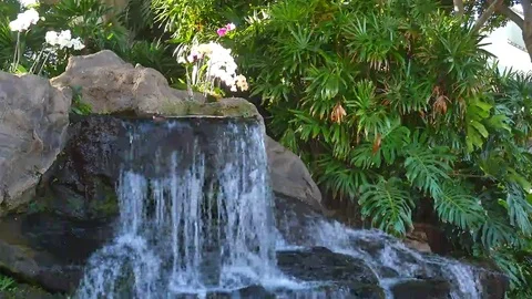 Small Waterfall in garden. Stock Footage 69189620