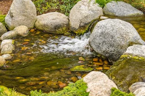 Small waterfall in the garden Foto stock