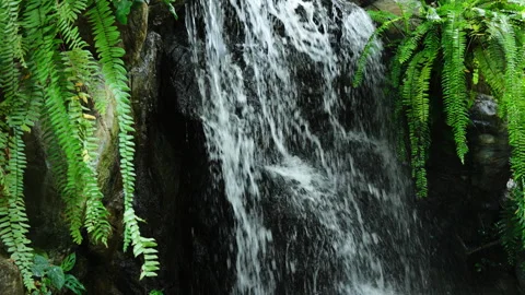 Small waterfall in the garden. Slow motion shot. Stockbeeldmateriaal 341933790