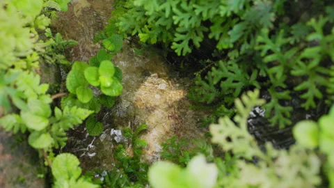 Small waterfall in the garden. Slow motion shot. Stockbeeldmateriaal 341937280