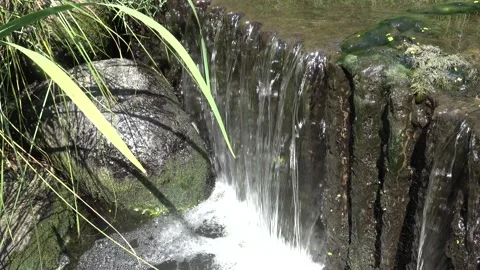 Small waterfall in garden stream Video stock 159153942