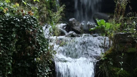 Small waterfall in green area Vídeo Stock 76231533