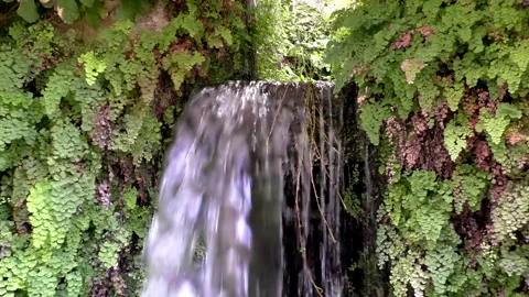 Small waterfall in the greenery Vídeos de archivo 167592619