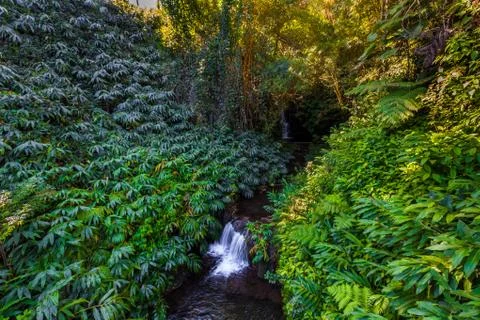 Small waterfall with greenery Stock Photos