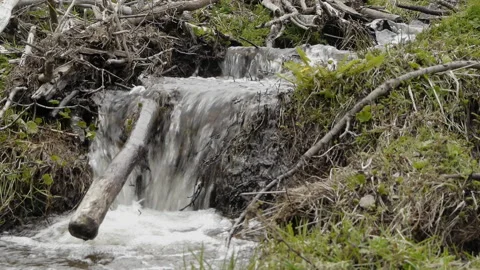 Small waterfall handheld shoot in a beaver pond Stock Footage 226463676