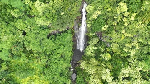 Small Waterfall in Hawaii Video stock 105375340