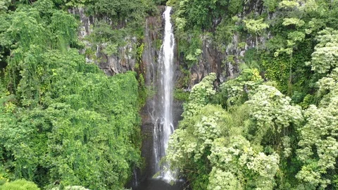 Small Waterfall in Hawaii Video stock 105375430