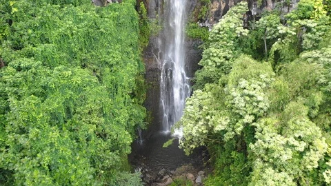 Small Waterfall in Hawaii Video stock 105375436
