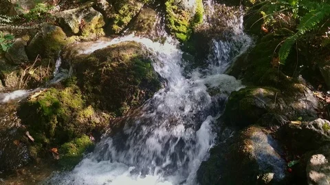 Small waterfall HD Video stock 119132271
