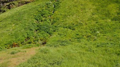 Small waterfall on Iceland. Stock-Footage 111790160