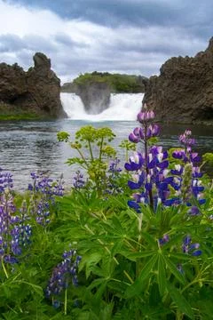 Small waterfall in Iceland Stock Photos