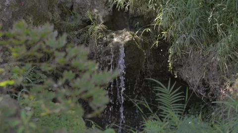 Small waterfall illuminated by sunlight Vidéo 347104001