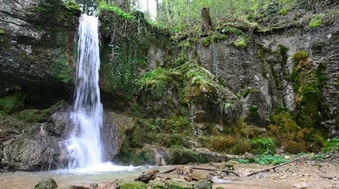 Small Waterfall inside green forest Stock Footage 46220448