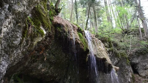Small Waterfall inside green forest in spring Stock Footage 46220662
