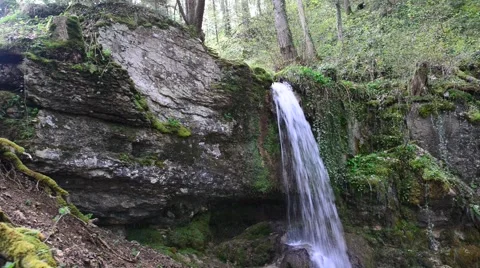 Small Waterfall inside green forest Stock Footage 46220682