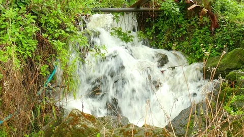 Small waterfall in the jungle at Doi Inthanon Stock Footage 109321942