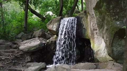 Small waterfall in the jungle Stock Footage 174187468