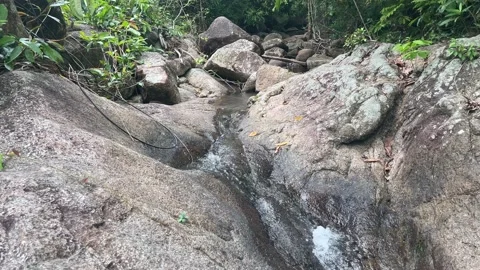 Small Waterfall In Jungle Video stock 221321699