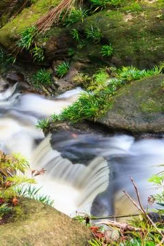 Small waterfall in jungle Stock Photos