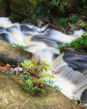 Small waterfall in jungle Stock Photos