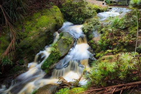 Small waterfall in jungle Stock Photos