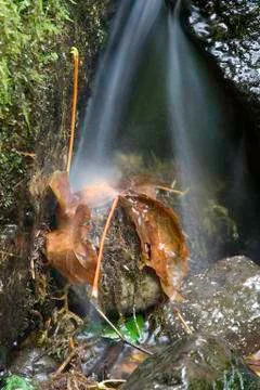 Small waterfall with leaf Stock Photos
