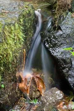 Small waterfall with leaf Foto stock
