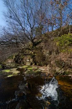 Small Waterfall Limestone Brook Anglezarke Rivington Chorley Stock Photos