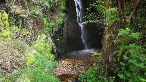 Small waterfall located in Illas, close to Avilés, in Asturias. Stock Footage 136875270