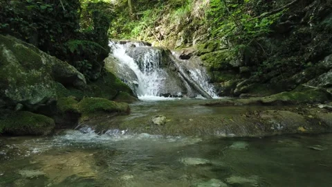 Small waterfall in a lush forest Vidéo 272478474