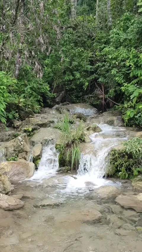 Small Waterfall in Lush Forest Stock Footage 306440225