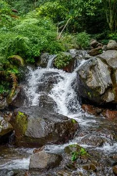 Small Waterfall in Lush Forest Stock Photos