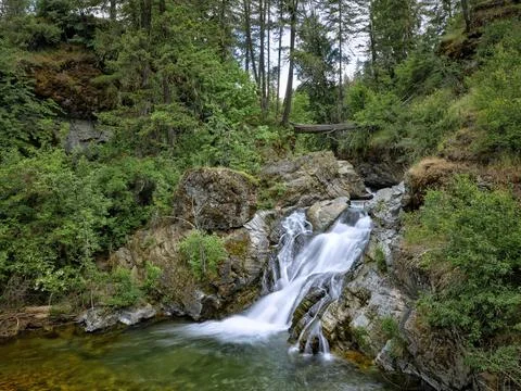 Small waterfall in a lush forest. Stock Photos