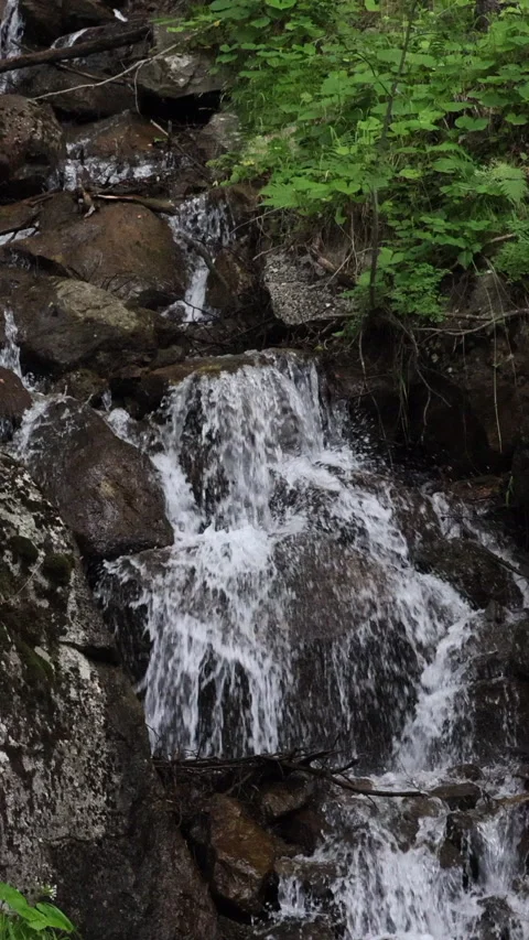 A Small Waterfall In A Lush Green Forest Cascades Over Moss-Covered Rocks And Fa Stock Footage 314674810