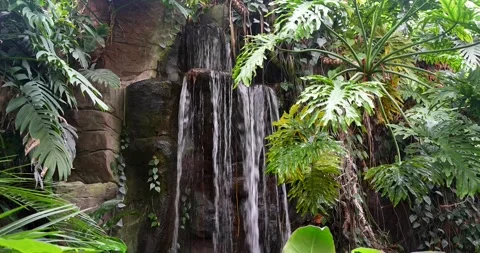 Small Waterfall in Lush Greenery Stock Footage 285234816