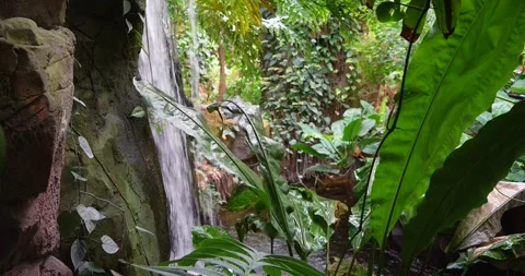 A Small Waterfall in Lush Greenery Stock Footage 285234893