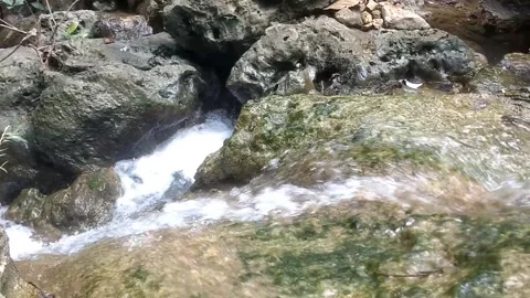 Small Waterfall in Lush Greenery Stock Footage 331786383