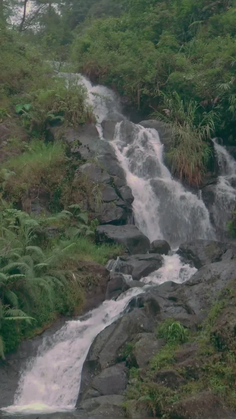Small waterfall in the middle of the forest with rocks in portrait Stock Footage 288856138