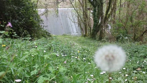 Small waterfall in the middle of nature Stock Footage 239913051